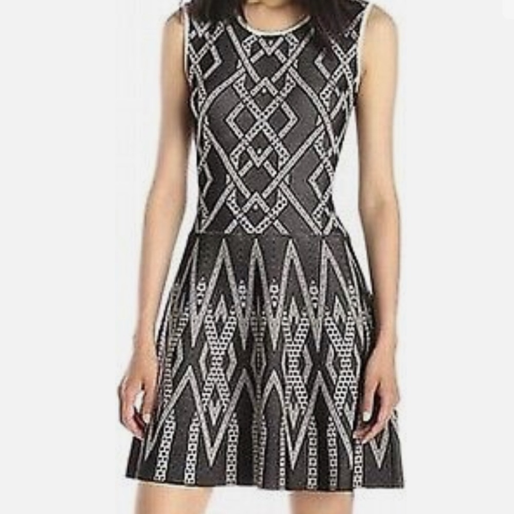 BCBG maxazaria  flare knit dress: Debbie